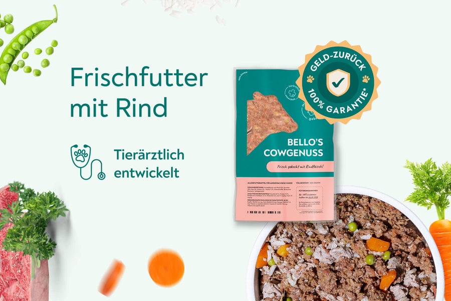 Frischfutter für Energiebedarf von 1600 kCal/Tag