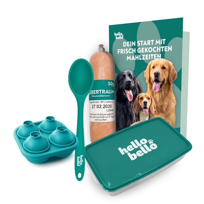 Gratis Geschenk